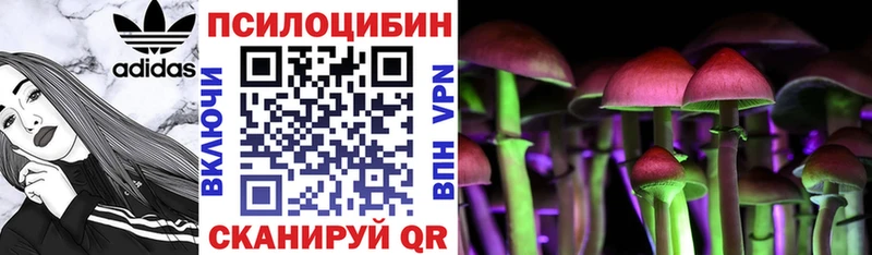закладки  Ивангород  KRAKEN ссылки  Псилоцибиновые грибы мицелий 